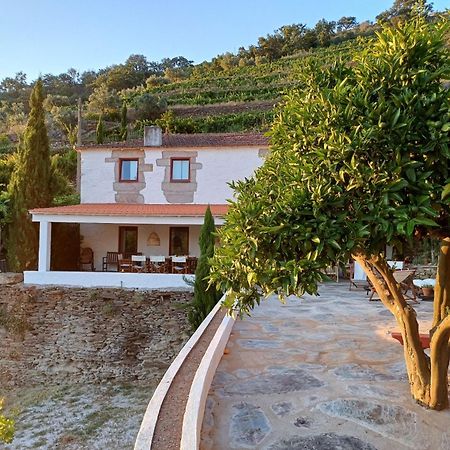 Country House Quinta Da Salgueira Alijó Esterno foto