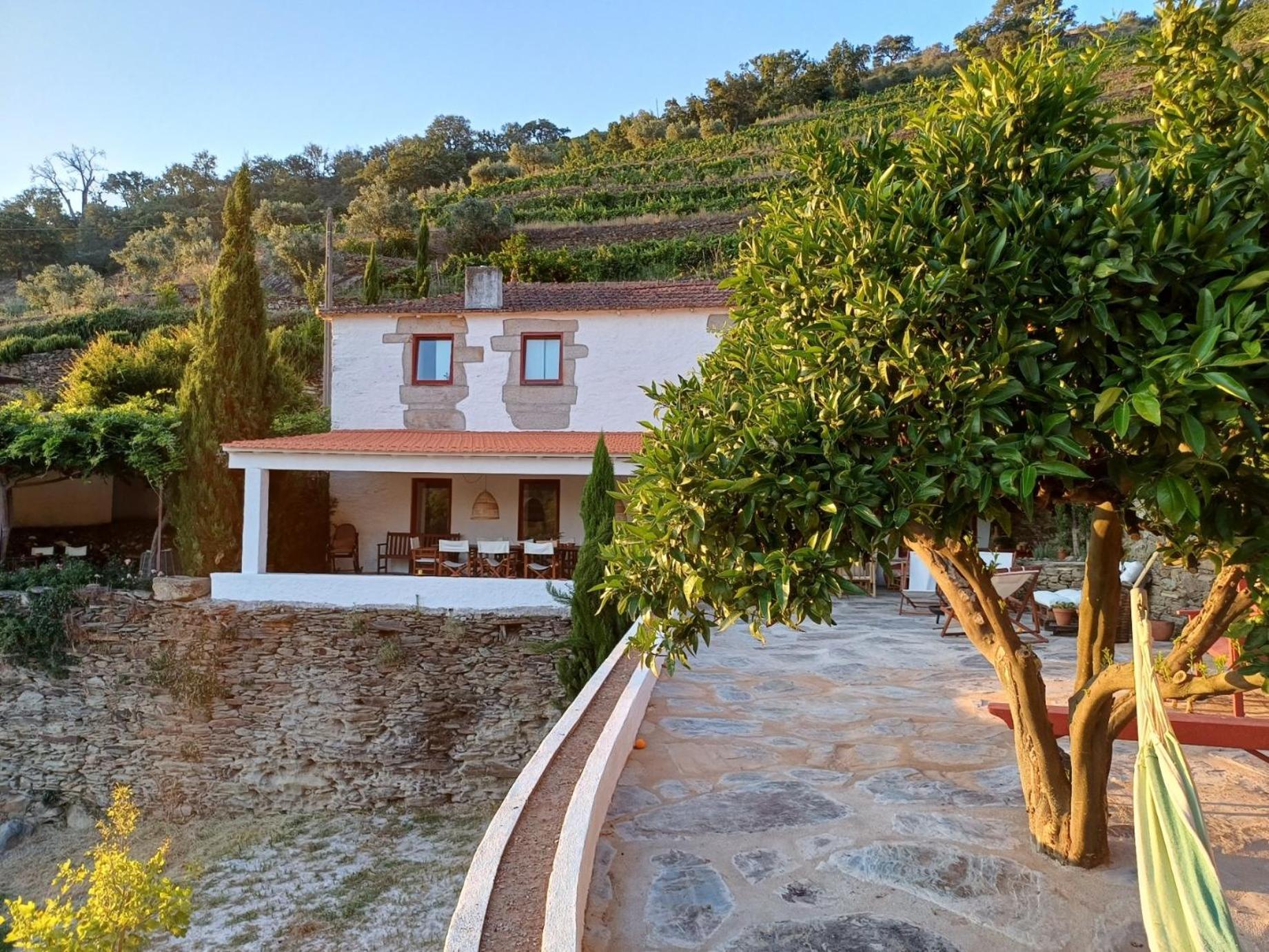 Country House Quinta Da Salgueira Alijó Esterno foto