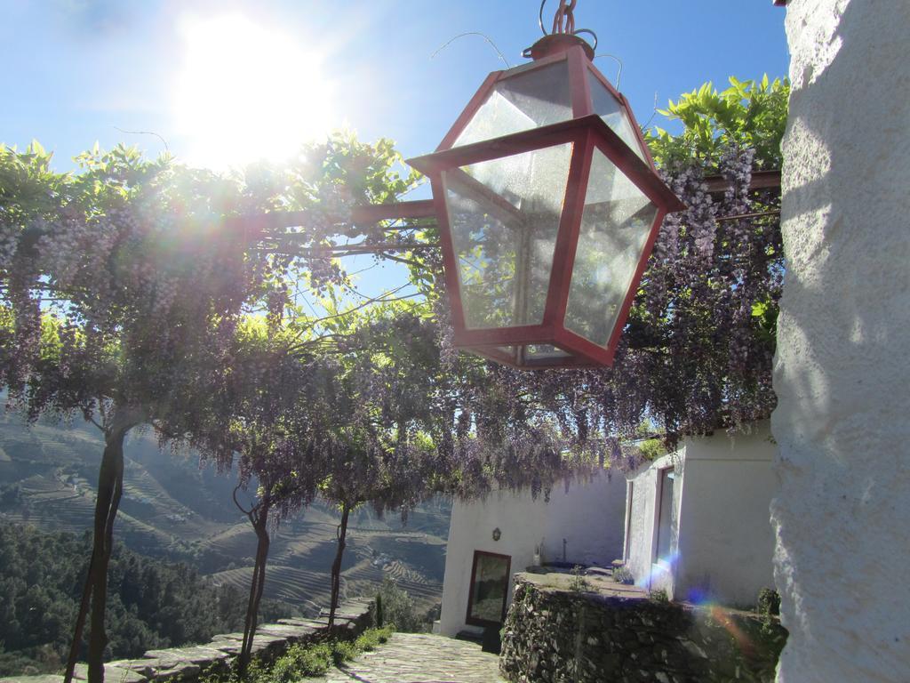 Country House Quinta Da Salgueira Alijó Esterno foto