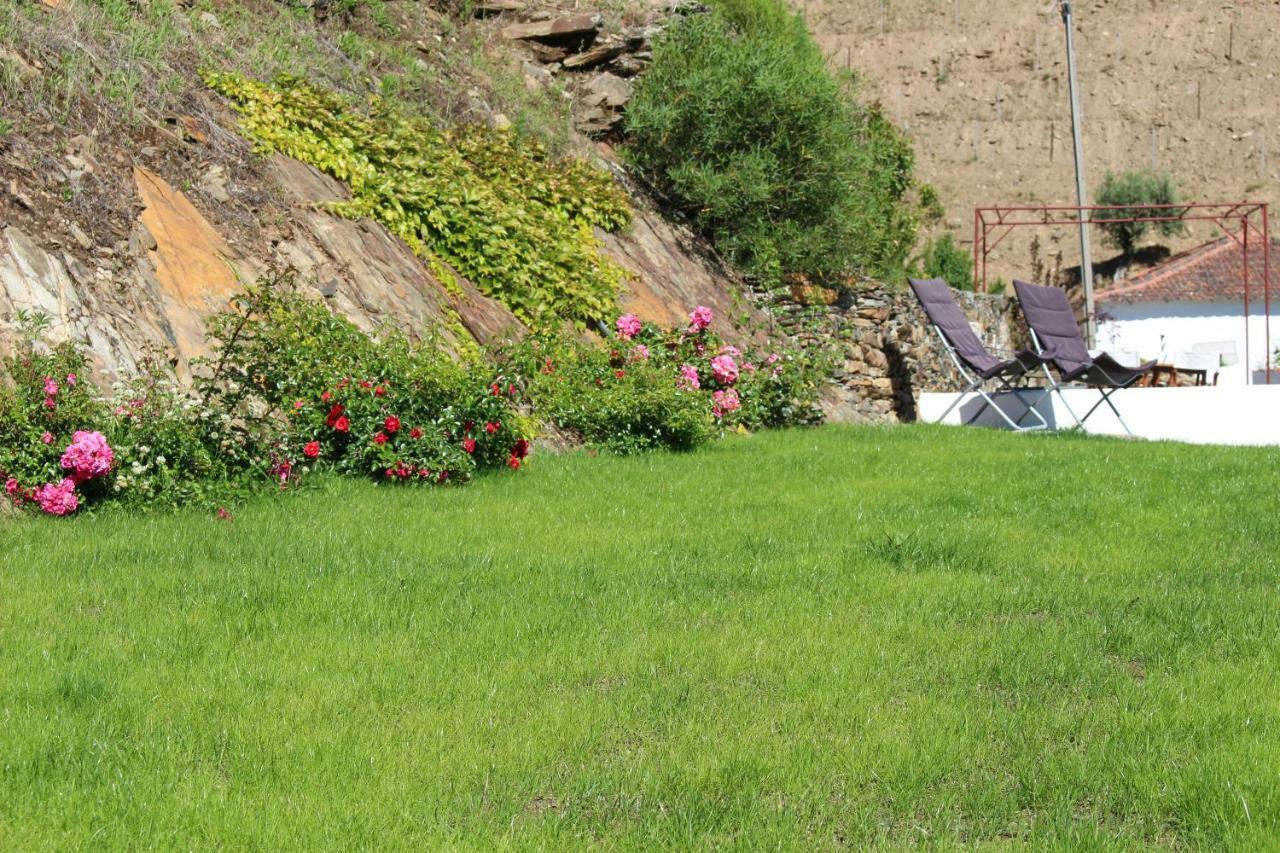 Country House Quinta Da Salgueira Alijó Esterno foto